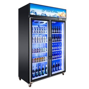 Two Doors Display Fridge